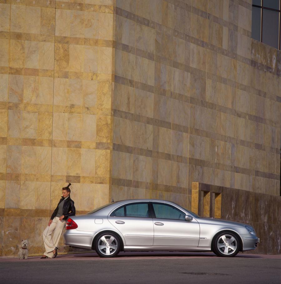  Mercedes-Benz E-Class 2002 года  (фото 363 из 448)